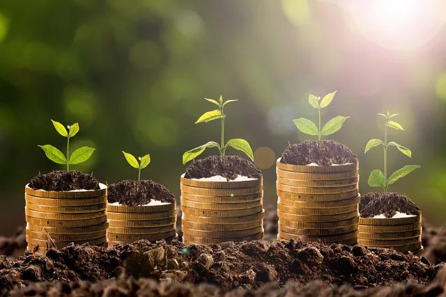 Four small plants growing from stacks of coins in soil.