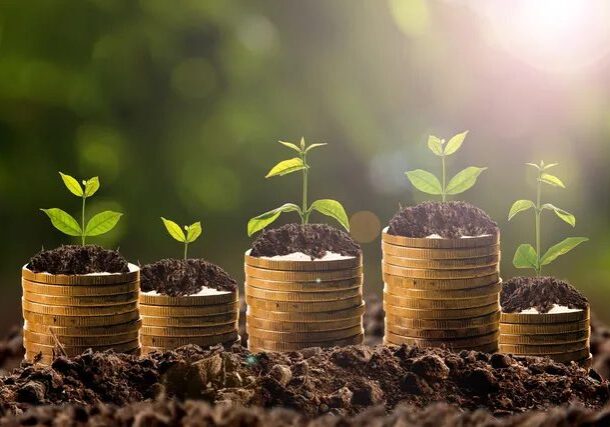 Four small plants growing from stacks of coins in soil.
